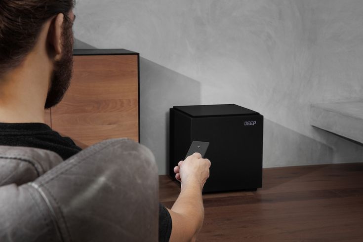 Definitive Tech DN - 12 Subwoofer Ultra-Performance